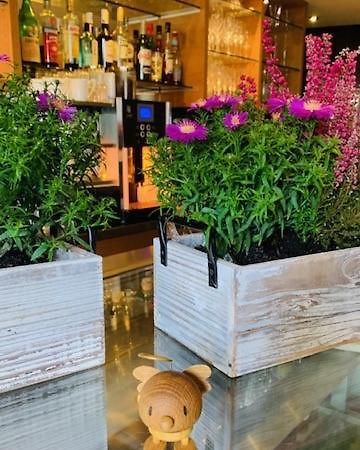 Weinhotel Eltvinum Eltville am Rhein Bagian luar foto