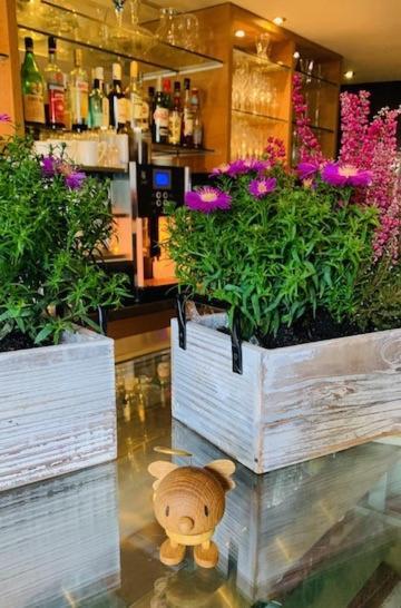 Weinhotel Eltvinum Eltville am Rhein Bagian luar foto